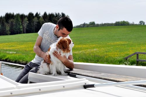 france-alsace-chien